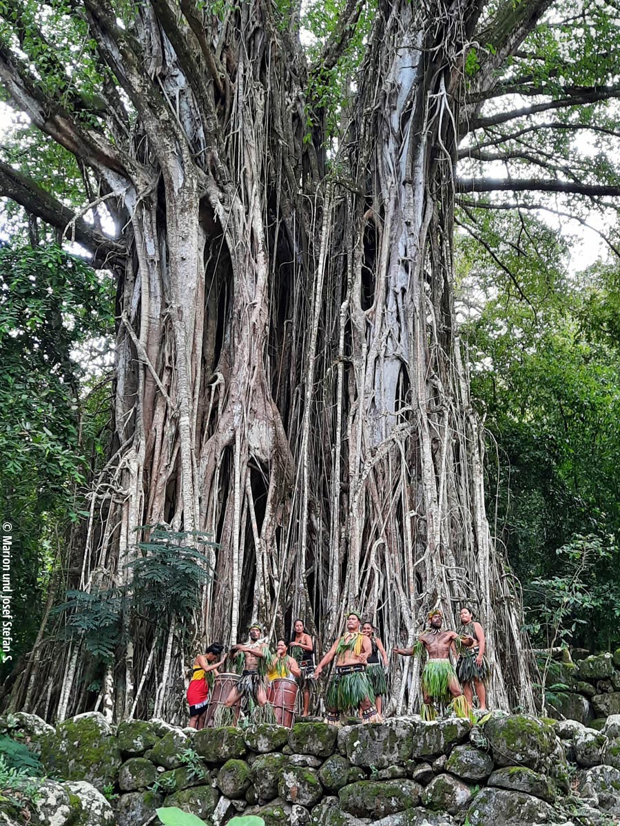 Folklore unter'm Banyard-Tree